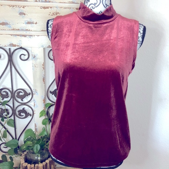 J. Crew Tops - J crew cranberry velvety sleeveless mock neck top